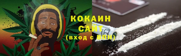 твердый Пересвет