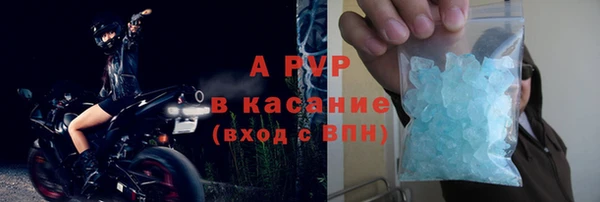 твердый Пересвет