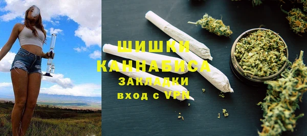 твердый Пересвет