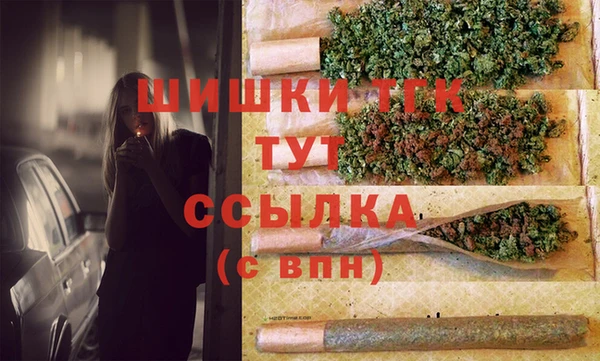 твердый Пересвет