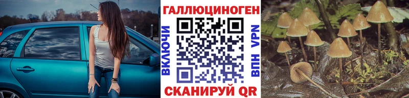 Псилоцибиновые грибы GOLDEN TEACHER  Купить где  Ливны 